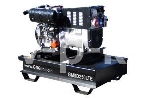 Бензиновый генератор GMGen Power Systems GMSD250LTE