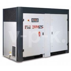 Винтовой компрессор Fini TERA SD 10013 фото