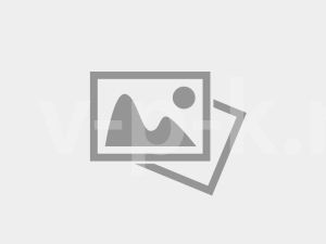 Дизельный генератор  P9000, 400/230V, 50Hz #AVR #IPP