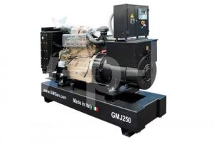 Дизельный генератор GMGen GMJ250  фото