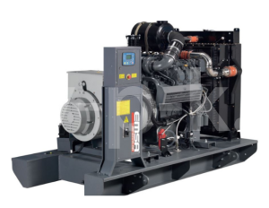 Дизельный генератор EMSA Emsa E IV ST 0144