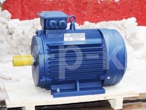 Электродвигатель АИР 100 L2 для компрессора АСО-Бежецк