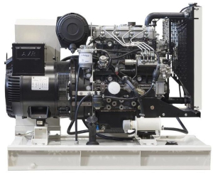 Дизельный генератор TEKSAN TJ33PE5L  фото