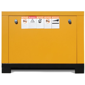 Винтовой компрессор Berg ВК-4Р 8 (IP54) электрический фото