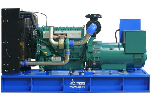 Дизельный генератор ТСС ЭД-300-Т400-1РПМ5 ПРОФ 025987 фото