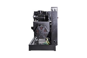 Дизельный генератор Fubag DS 16 A ES  (однофазная_открытая_пож)  фото